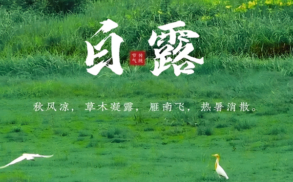 肃南白露润秋，致兴立群与您共筑坚固未来